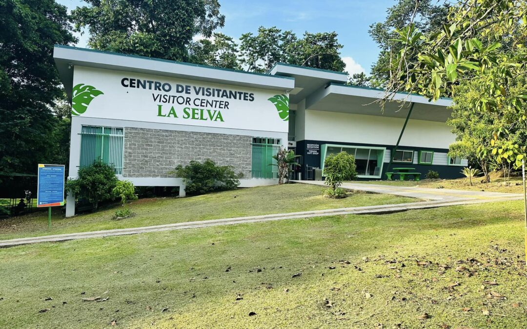 Evita costos y problemas con mantenimiento preventivo